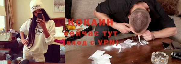 PSILOCYBIN Майский