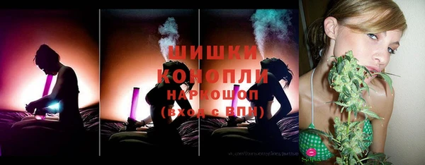 PSILOCYBIN Майский