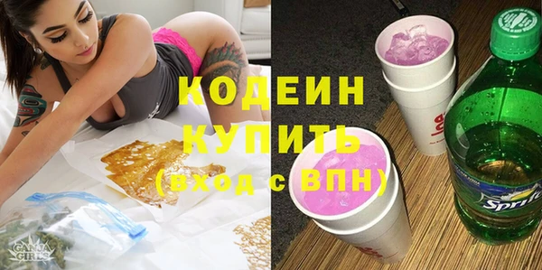 крисы Магас