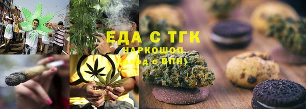 крисы Магас