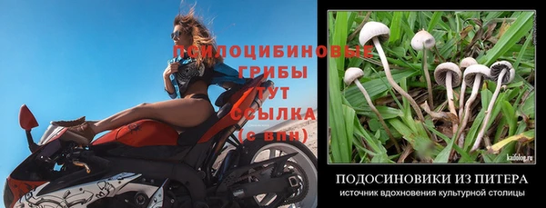 МДМА Горно-Алтайск