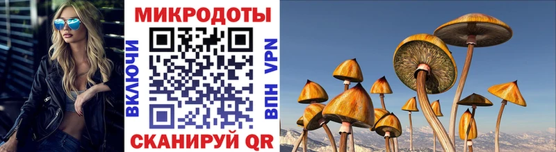 Галлюциногенные грибы мицелий  MEGA ссылка  Дюртюли 