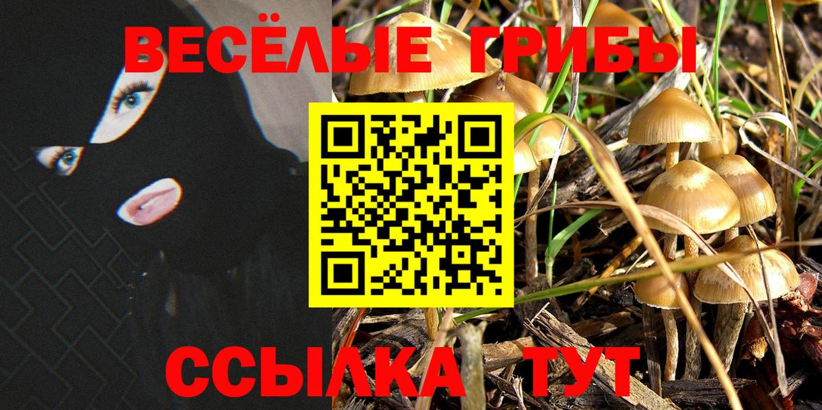 Галлюциногенные грибы мухоморы Дюртюли