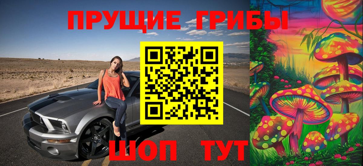 Псилоцибиновые грибы GOLDEN TEACHER  дарнет шоп  Дюртюли 