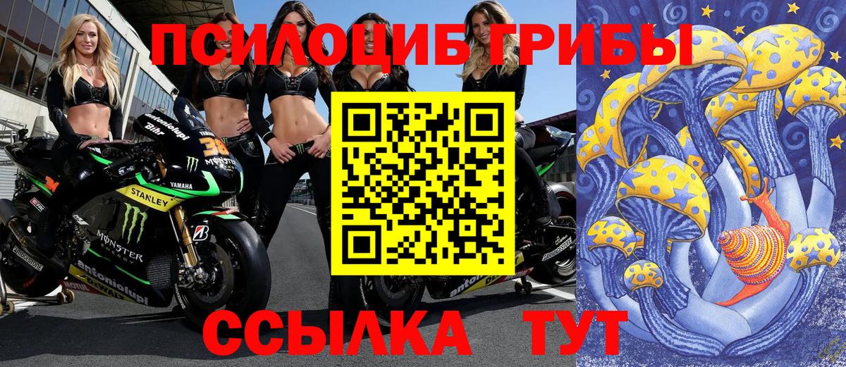Псилоцибиновые грибы GOLDEN TEACHER  Вход с VPN  Дюртюли  Галлюциногенные грибы Magic Shrooms 
